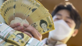 작년 세금 많이 걷은 세무서, 수영·남대문·영등포·울산 순