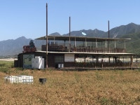 [기후위기현장을 가다] 메마른 땅 위로 올라온 저수지 수상식당