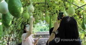 이건 카메라에 담아야지
