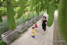 가을 시작을 알리는 입추