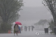 폭우 내리는 광화문광장