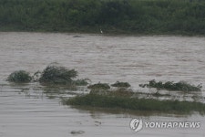 물 불어난 차탄천