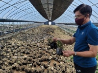 [집중호우] 비닐하우스안 화분 수만개가 물위에 둥둥…갯벌처럼 변한 농장