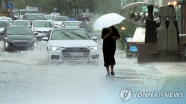 남해 77㎜·창원 63㎜…경남서 침수·나무 쓰러짐 5건 신고(종합)
