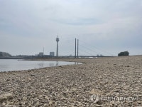 저수위로 자갈 가득한 라인타워 앞 강가