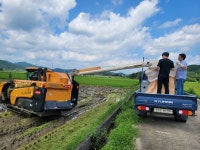 찐 찹쌀 웅치 올벼쌀 추석 앞두고 올해 첫 수확