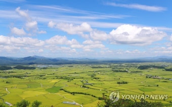 절기상 처서…가을 속으로