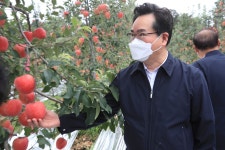 정황근 장관, 충주 사과농장 방문…추석 성수품 수급 상황 점검
