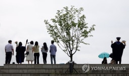 든든한 나무가 되겠어요