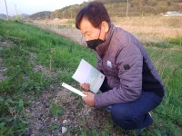 청정 지표 사라져가는 반딧불이 지켜온 사람들