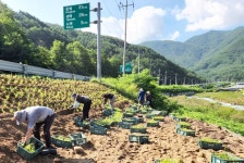정선 남면 무릉리, 은빛 물결 출렁이는 세계 억새마을 된다