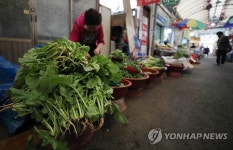 전통시장에 쌓여있는 채소