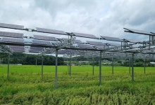 농사짓고 전기도 생산하고…농가 새 수익모델 영농형태양광