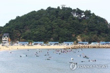 파도가 좋아…연휴 즐기는 서퍼들