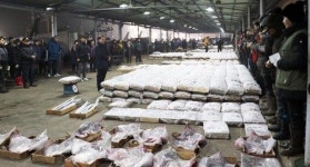 군산 홍어 풍년…전국 위판량의 45% 차지