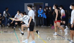 서울시민체육대축전, 배드민턴 대회