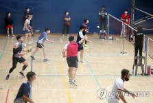 서울시민체육대축전, 배드민턴 대회