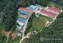 춘천 양돈농가서 아프리카돼지열병 발생