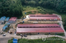 춘천서 ASF 발생…매몰 작업 진행