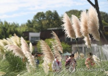 여름과 가을 경계 추분 하루 전 내일도 맑고 선선