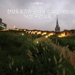 [여행honey] 한양도성길을 편하게 걷고 싶다면 낙산 구간으로