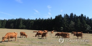 소도 살찌는 계절