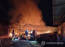 양구서 비닐하우스 화재