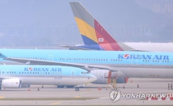 대한항공·아시아나 결합심사 결과 미국·영국에서 내달 발표될 듯
