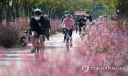 거창창포원의 연분홍빛 자전거 소풍