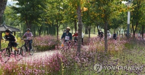 거창창포원의 연분홍빛 자전거 소풍