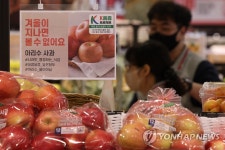 대형마트, 달러 초강세에 국산 과일 운영 확대