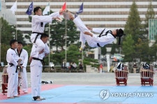 격파시범 보이는 지상작전사령부 1군단 태권도 시범단