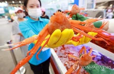 명품 붉은 대게 받아 가세요