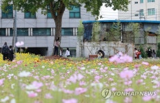 도심의 열린송현 녹지광장