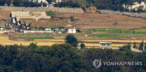 황금빛 북녘 들판, 평온한 가을 모습