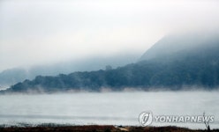 물안개가 그린 수묵화