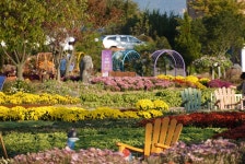 [제천소식] 농기센터 휴 가을 자연치유농장 14∼16일 개방