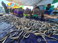 반갑다 양미리