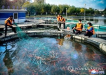 북한서 양어장 사업 활발