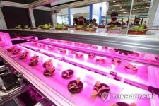 한국농업이 나아갈 미래는…농업미래 혁신포럼 20일 개최