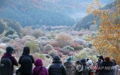 비밀의 정원에 모인 사진가들