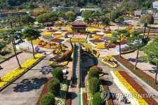 함평 엑스포공원에서 국화축제