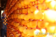 제철 맞은 곶감