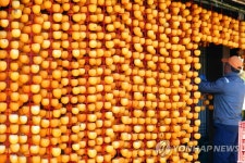 제철 맞은 곶감