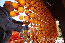 제철 맞은 곶감