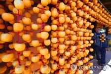제철 맞은 곶감