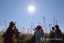 가을 하늘로 뻗은 솟대