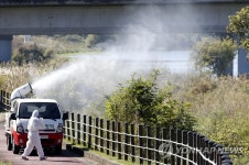 백령도·충주·김해 야생조류와 분변서 H5 AI 항원
