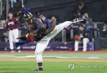 이런 시구 보셨나요?