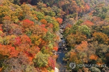 알록달록 피아골 단풍